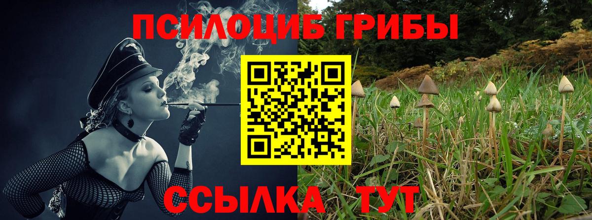 Галлюциногенные грибы Psilocybe  Вход с VPN  купить  сайты  Псилоцибиновые грибы GOLDEN TEACHER  Владикавказ 